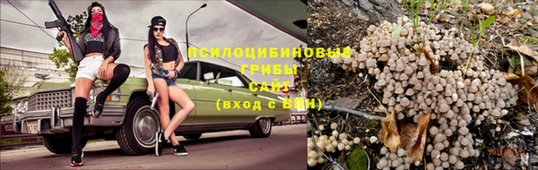 спиды Сатка